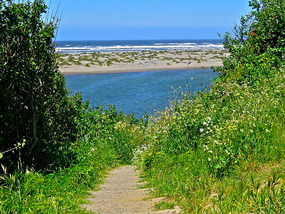 Our view as we headed down toward the beach
