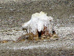 Deposits at a small geyser