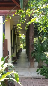 Apple's Retreat 