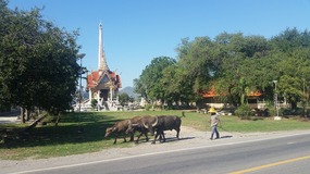 Bike ride to cave Temple 