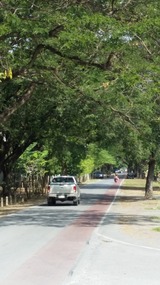 Gorgeous tree lined streets along the khlong 
