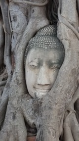 Wat Maha That