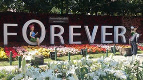 Chiang Rai Flower festival