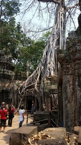 Ta Prohm
