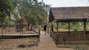 Killing fields