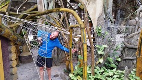 Alan going crazy !