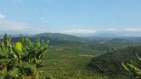 Drive to Dalat
