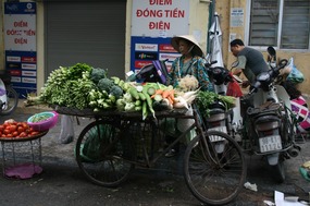 flower seller