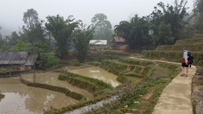 relief to walk on paths!