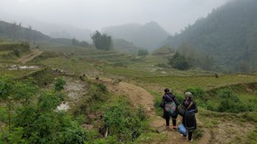 trekking through the rice paddies