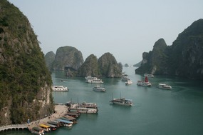 many boats