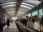 Escalators That Seem To Go Forever.