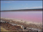  Pink Lake - Port Gregory.