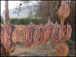 Kenyan Shields For Sale.