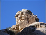 The Face - Siq - Petra