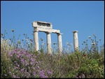 Ruins Amongst The Wildflowers.