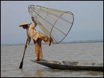 Inle Lake Fisherman