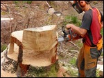 Chainsaw Carving