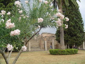 Pompeii - Ruins.