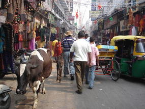 Delhi - Main Bazaar.