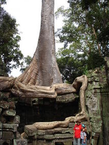 Ta Prohm - Our Favourite!