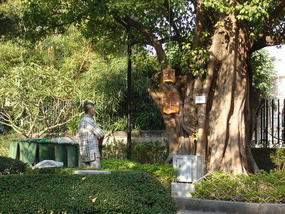 Bird Exercise Tree - Macau.