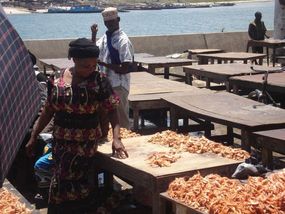 Dar es Salaam - Fish Markets.