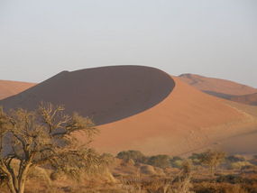 Dune Above Dead Vlei.