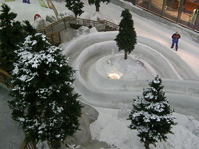 Ski Dubai - Xmas?.