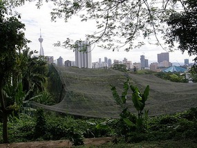 Bird Park. 