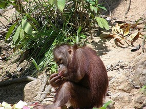 Cute Little Fella. 
