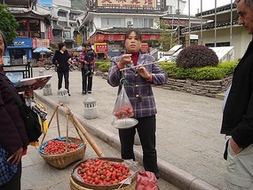 Strawberry Seller.
