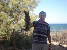 Biggest Cray Ever?. 