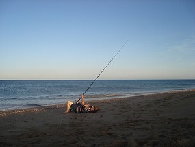 Relaxed Avan - Mackeral Islands.