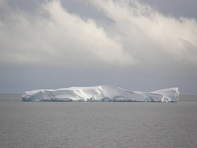 First Iceberg.