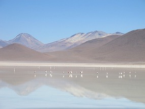 Mountain Reflection With Flamingo.