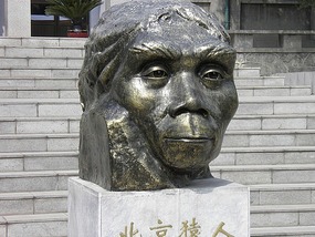 Peking Man Bust.