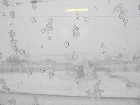 Train Window View.
