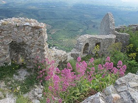 Wildflowers Amongst Ruins - Mystras.