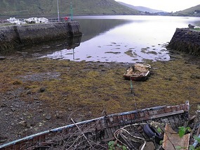 Killary Harbour View 2.