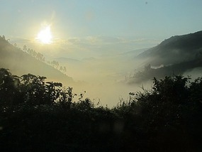 Misty Morning For Gorilla Trekking.