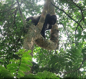 Hey You Down There!!