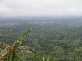 Queen Elizabeth National Park - Uganda.
