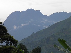 Rwenzori Mountains National Park - Uganda.