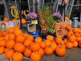 Halloween Pumpkins.