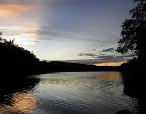 Sunset - Caroni Swamp Trinidad.