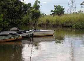 Start Of Tour - Caroni Swamp Trinidad.