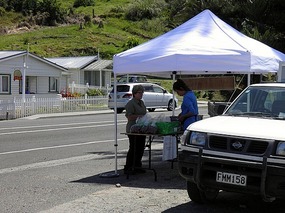 Buying Strawberries - Cable Bay.