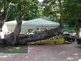 Squashed Bus From 2007 Hurricane, Dominica.