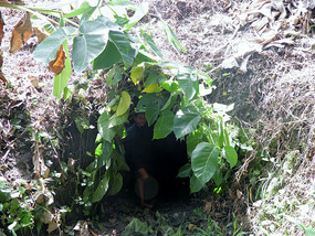 Japanese Spy Tunnel.